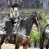 American Saddlebred Classes at the GCHS